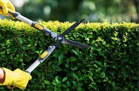 Gardening Services