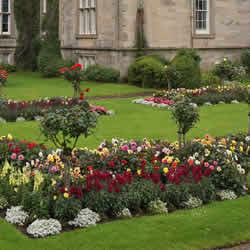 Gardening Services